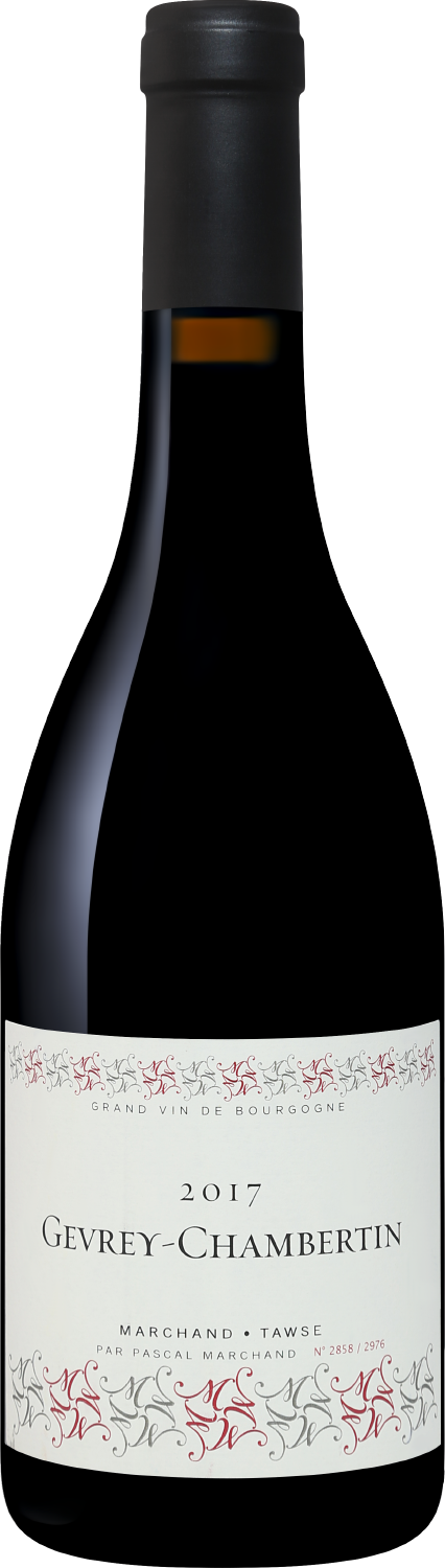 Жевре-Шамбертен AOC Маршан-Тоуз 2017 0.75 л